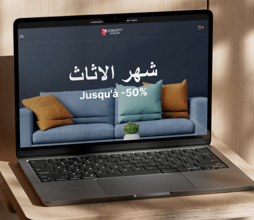 image projet site web concept mobilier 2